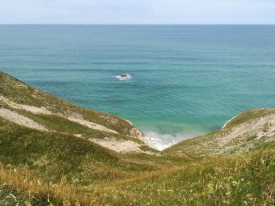 Holiday house 12 person holiday home in Thisted-By Traum - Outdoor photo 24