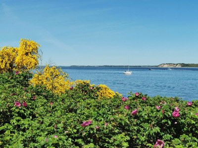 Holiday house 6 Personen Ferienhaus in Højslev-By Traum - Outdoor photo 17