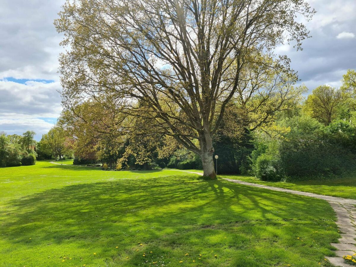 Holiday house 4 person holiday home in Ebeltoft-By Traum - Outdoor photo 3