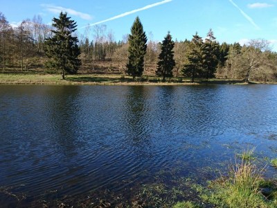 Holiday house 4 person holiday home in Ebeltoft-By Traum - Outdoor photo 4