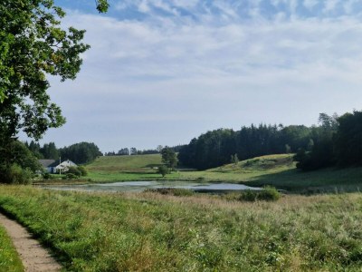 Holiday house 4 person holiday home in Ebeltoft-By Traum - Outdoor photo 28