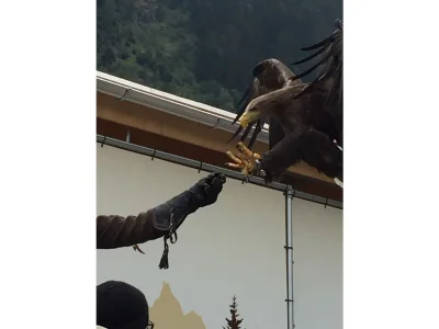 Holiday house Holidayhome : Seppl's Ferienhaus, with sauna - Environment photo 22