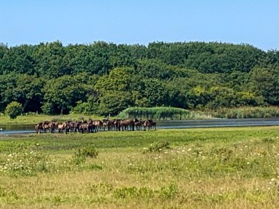 Apartment 6 Personen Ferienhaus in Bagenkop-By Traum - Outdoor photo 8