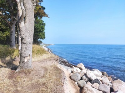 Apartment 6 Personen Ferienhaus in Bagenkop-By Traum - Outdoor photo 12