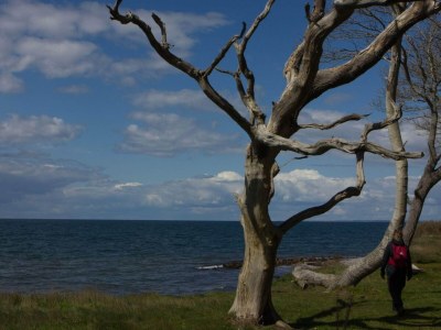 Apartment 6 Personen Ferienhaus in Bagenkop-By Traum - Outdoor photo 57