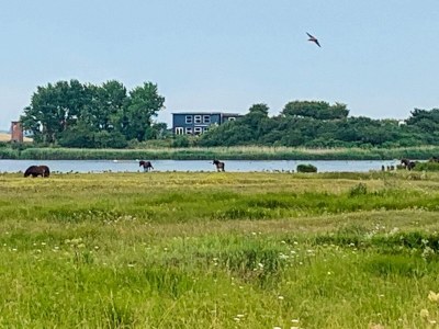 Apartment 6 Personen Ferienhaus in Bagenkop-By Traum - Outdoor photo 62
