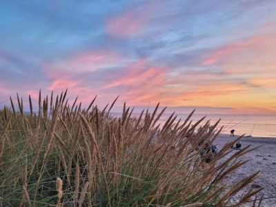 Apartment 6 person holiday home in Skagen-By Traum - Outdoor photo 26