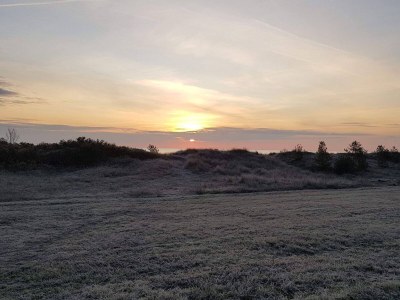 Holiday house 5 person holiday home in Væggerløse-By Traum - Outdoor photo 35