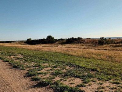 Holiday house 5 person holiday home in Væggerløse-By Traum - Outdoor photo 36