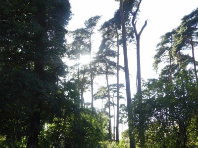 Apartment 4 Personen Ferienhaus in Bogense-By Traum - Outdoor photo 26