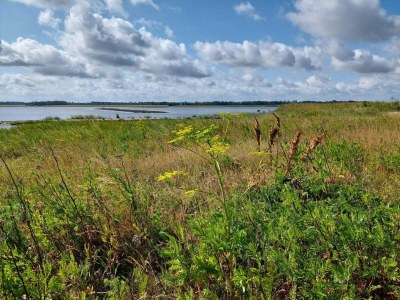 Apartment 4 Personen Ferienhaus in Bogense-By Traum - Outdoor photo 30