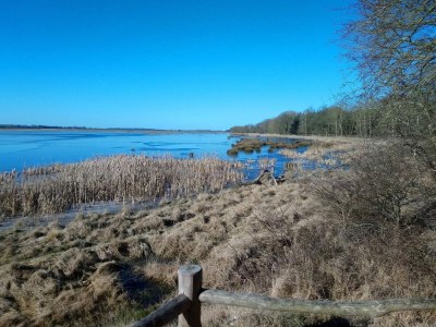 Apartment 4 Personen Ferienhaus in Bogense-By Traum - Outdoor photo 32