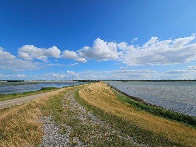 Apartment 4 Personen Ferienhaus in Bogense-By Traum - Outdoor photo 34