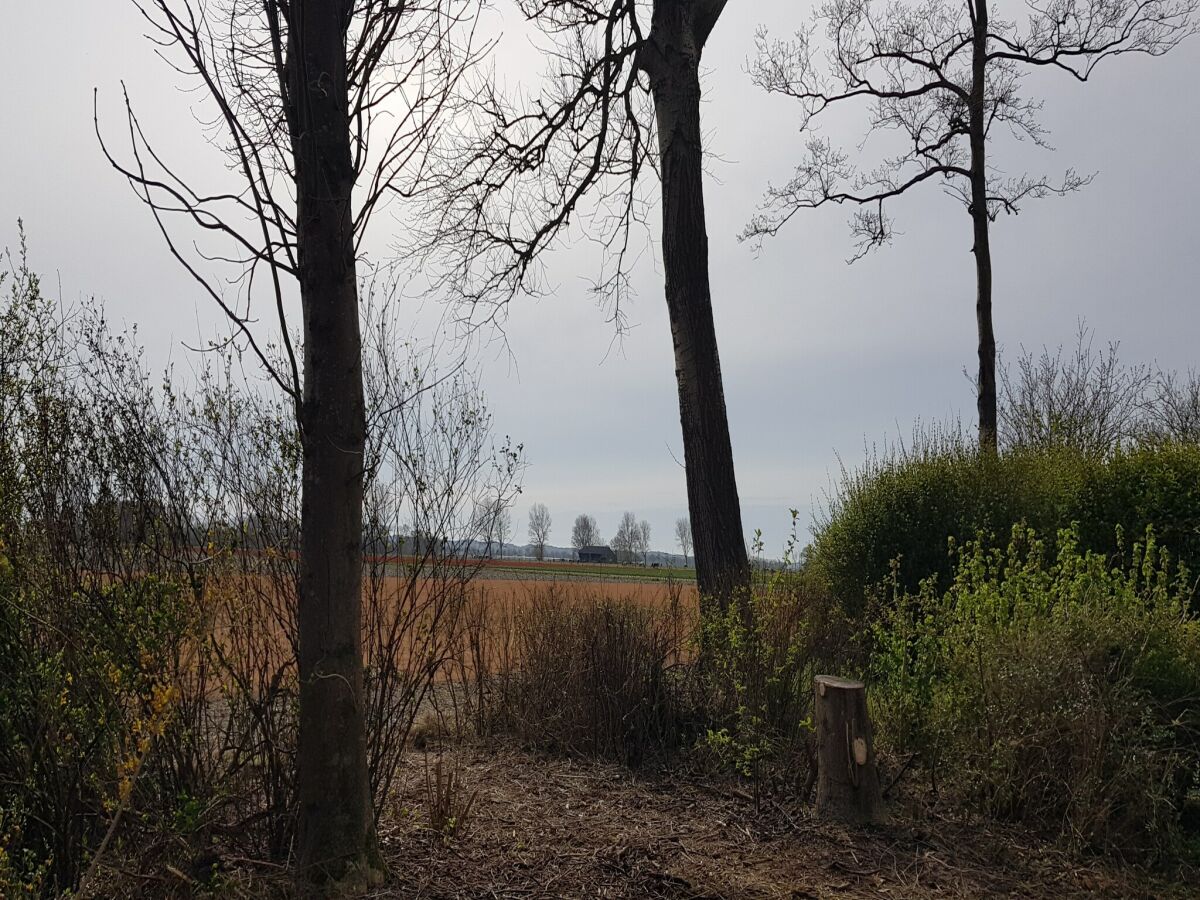 Holiday house Ferienhaus Tuitjenhorn Küstennähe - Outdoor photo 2