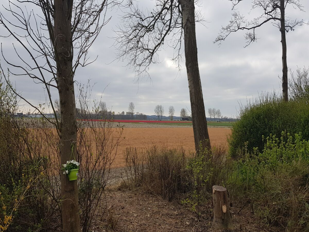 Holiday house Ferienhaus Tuitjenhorn Küstennähe - Outdoor photo 4