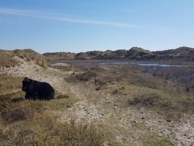 Holiday house Ferienhaus Tuitjenhorn Küstennähe - Environment photo 21