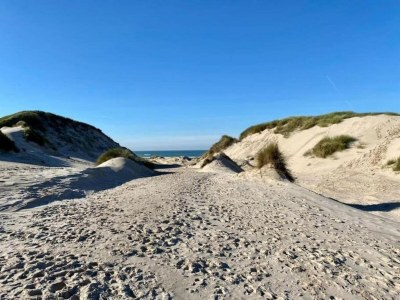 Holiday house Ferienhaus Tuitjenhorn Küstennähe - Environment photo 22