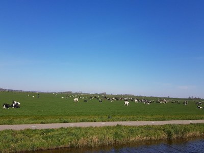 Holiday house Ferienhaus Tuitjenhorn Küstennähe - Environment photo 24