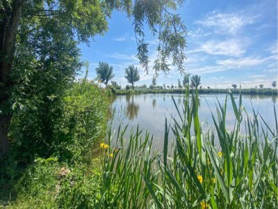 Holiday house Ferienhaus Tuitjenhorn Küstennähe - Environment photo 25