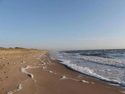 Holiday house Ferienhaus Tuitjenhorn Küstennähe - Environment photo 26