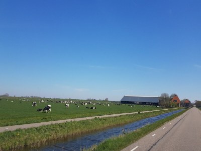 Holiday house Ferienhaus Tuitjenhorn Küstennähe - Environment photo 32