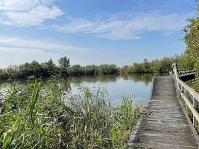 Holiday house Ferienhaus Tuitjenhorn Küstennähe - Environment photo 33