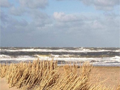 Holiday house Ferienhaus Tuitjenhorn Küstennähe - Environment photo 35