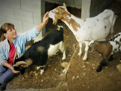 Holiday apartment Lindi - Environment photo 29