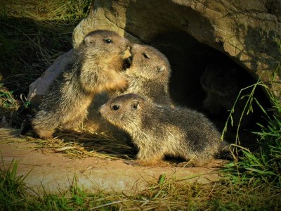 Holiday apartment Lindi - Environment photo 30