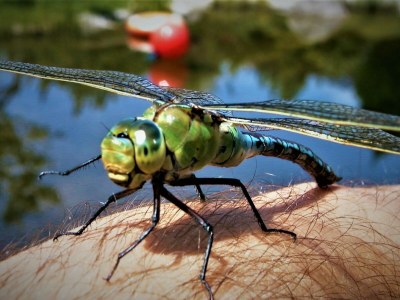 Holiday apartment Lindi - Environment photo 36