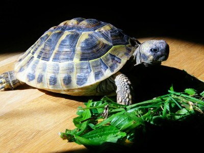 Holiday apartment Lindi - Environment photo 37