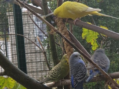 Holiday apartment Lindi - Environment photo 39