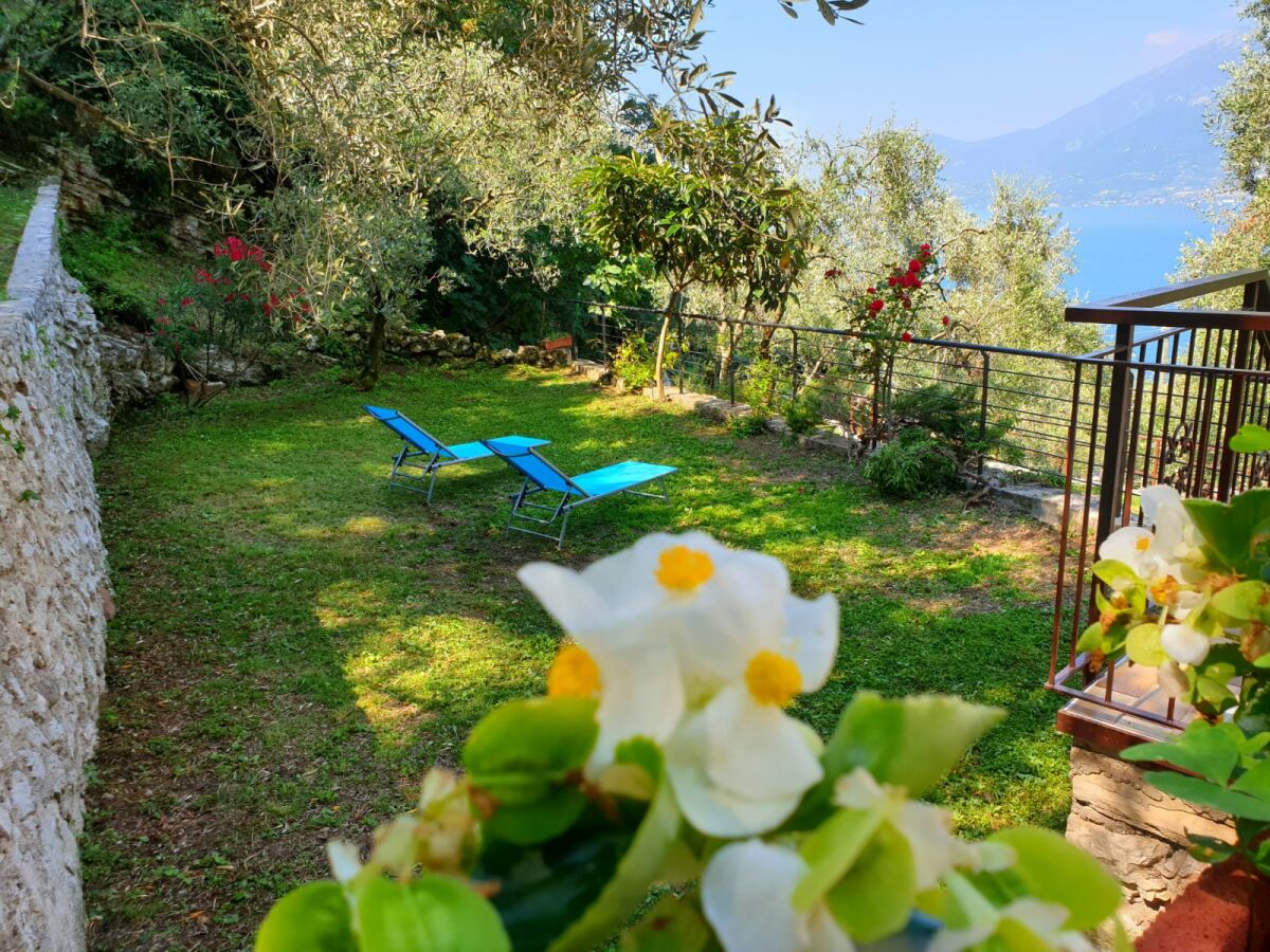 Holiday house La Pianta - private fenced garden - Outdoor photo 4