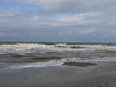 B&B Vitamin Sea - Environment photo 19