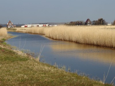 B&B Vitamin Sea - Environment photo 20