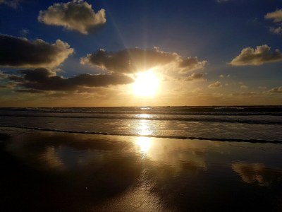 B&B Vitamin Sea - Environment photo 23