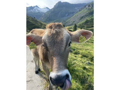 Apartment Apartment Grünberg - Outdoor photo 14