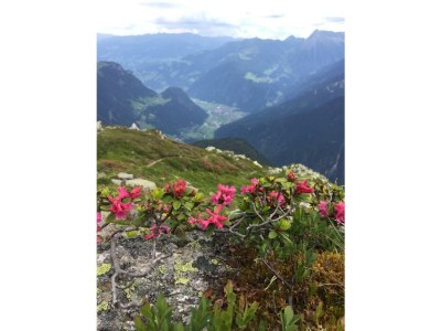 Apartment Apartment Grünberg - Outdoor photo 36