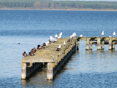 Holiday apartment Wellness oasis Domizil Eden - Environment photo 24