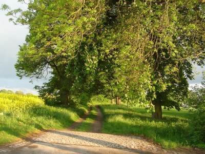 Holiday apartment Wellness oasis Domizil Eden - Environment photo 27
