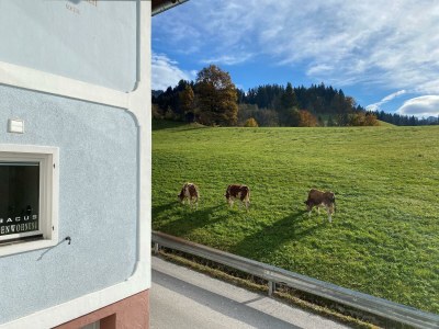 Apartment abacus-Ferienwohnung - Outdoor photo 4