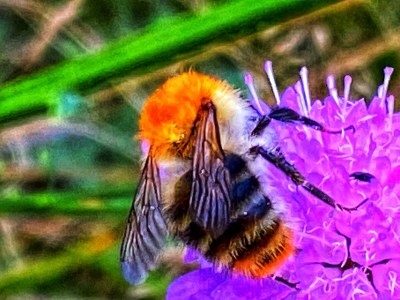 Apartment 6-Bett-Ferienwohnung Dusche/WC, Sauna - Outdoor photo 7