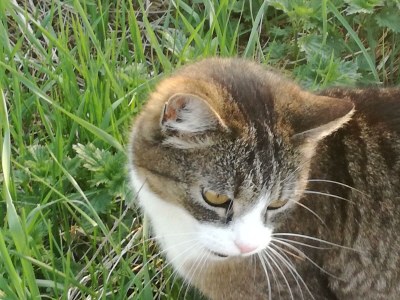 Apartment 6-Bett-Ferienwohnung Dusche/WC, Sauna - Outdoor photo 8