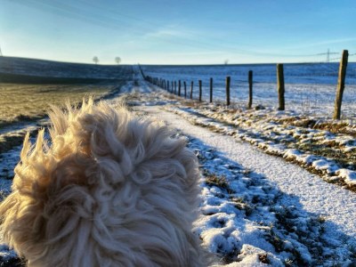 Apartment 6-Bett-Ferienwohnung Dusche/WC, Sauna - Outdoor photo 21