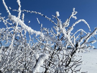 Apartment 6-Bett-Ferienwohnung Dusche/WC, Sauna - Outdoor photo 22