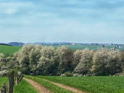 Apartment 6-Bett-Ferienwohnung Dusche/WC, Sauna - Outdoor photo 32