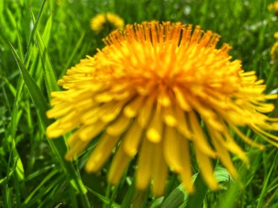 Apartment 6-Bett-Ferienwohnung Dusche/WC, Sauna - Outdoor photo 33