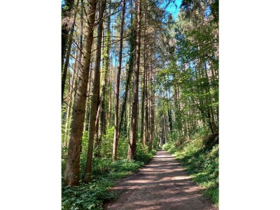 Apartment 4-Bett-Ferienwohnung Dusche/WC - Outdoor photo 13