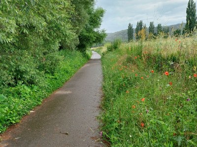 Apartment 4-Bett-Ferienwohnung Dusche/WC - Outdoor photo 14