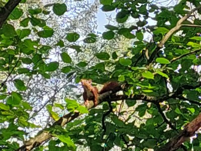 Apartment 4-Bett-Ferienwohnung Dusche/WC - Outdoor photo 18